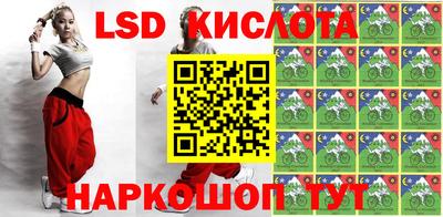 индика Можга