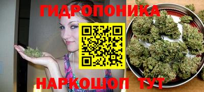 индика Можга
