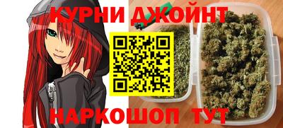индика Можга