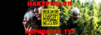 индика Можга