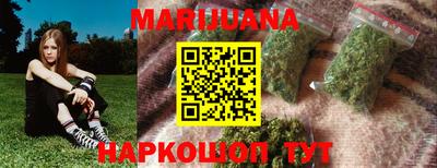 индика Можга
