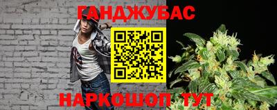индика Можга