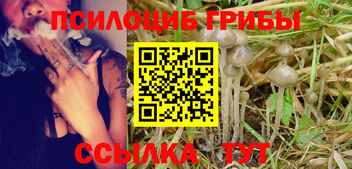 Галлюциногенные грибы GOLDEN TEACHER Татарск