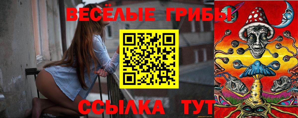 Псилоцибиновые грибы Psilocybe  где можно купить   Татарск  Вход с VPN 